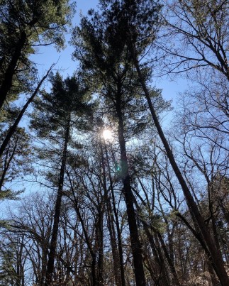 2D9DC6F4-D3E6-4093-A6BF-DE0BF9693379