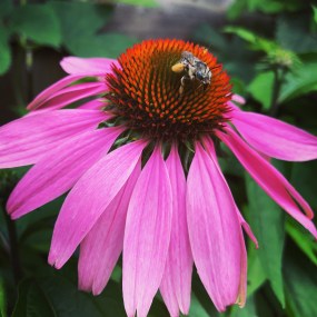 60138BD1-FF84-4A4A-828F-2166B449B2E7