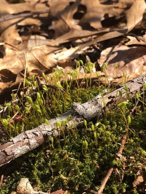 D172C098-2616-4E17-9559-A24877B4DEC7