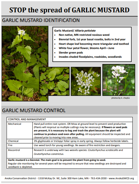 Screen Shot 2020-04-07 at 11.39.52 AM