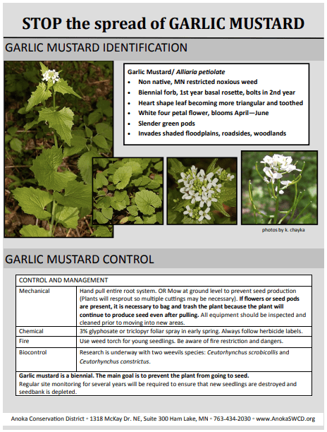 Screen Shot 2020-04-07 at 11.39.52 AM